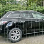 image-.jpg